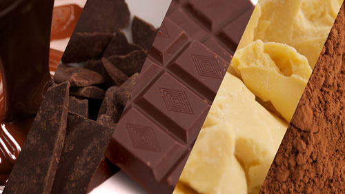 UNOCACE - Productos: Semielaborados de Cacao